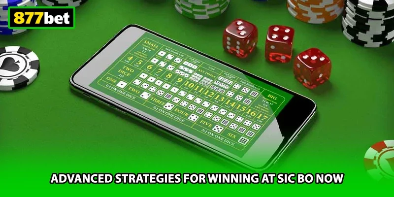 Advanced strategies for winning at Sic Bo now