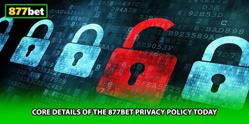 Core details of the 877BET privacy policy today