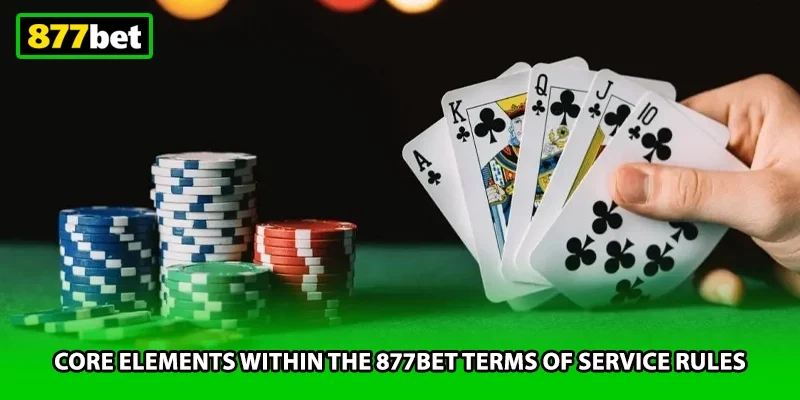 Core elements within the 877BET terms of service rules