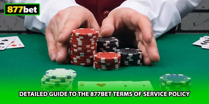 Detailed guide to the 877BET terms of service policy