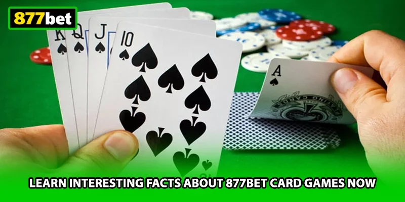 Learn interesting facts about 877BET card games now