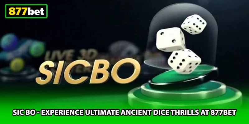 Sic Bo - Experience Ultimate Ancient Dice Thrills At 877BET